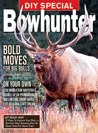 Bowhunter - 10 Issues
