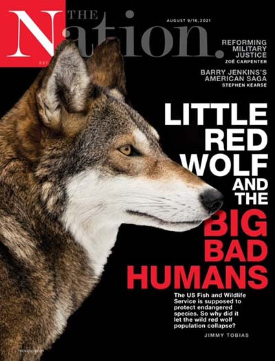 The Nation - 12 Issues