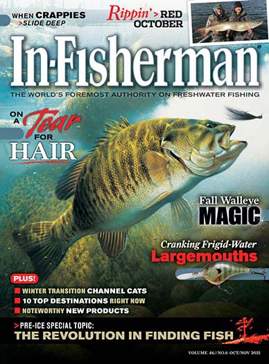 In Fisherman - 8 Issues
