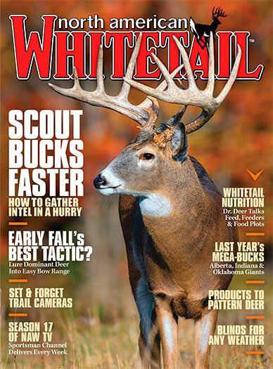 North American Whitetail - 8 Issues