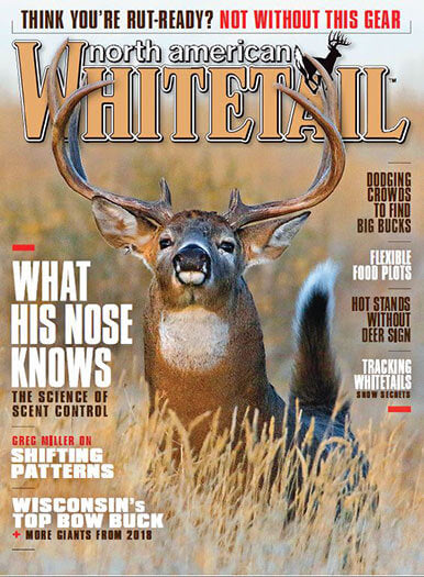 North American Whitetail - 8 Issues