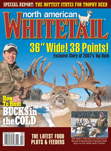 North American Whitetail - 8 Issues