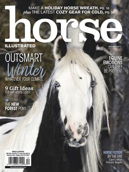 Horse Illustrated