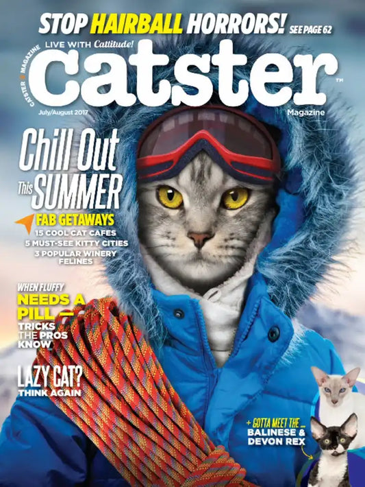 CATSTER Magazine