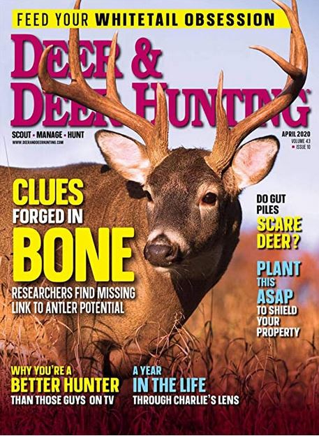 Deer & Deer Hunting
