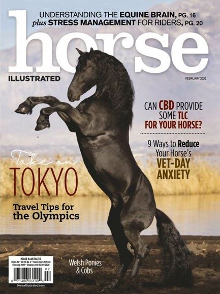 Horse Illustrated