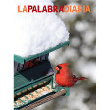 La Palabra Diaria (Daily Word in Spanish)