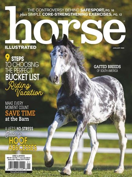 Horse Illustrated